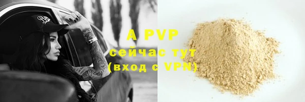 дмт Арсеньев