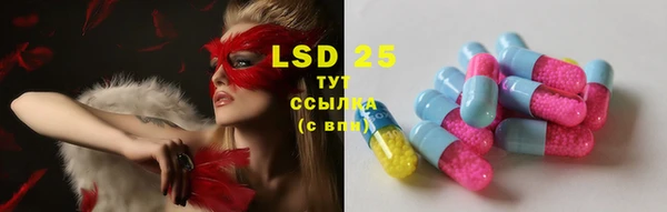 ПСИЛОЦИБИНОВЫЕ ГРИБЫ Баксан