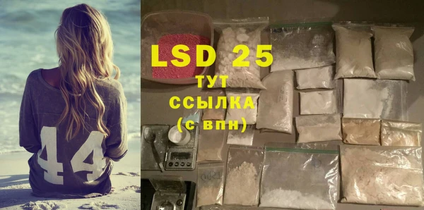 ПСИЛОЦИБИНОВЫЕ ГРИБЫ Баксан